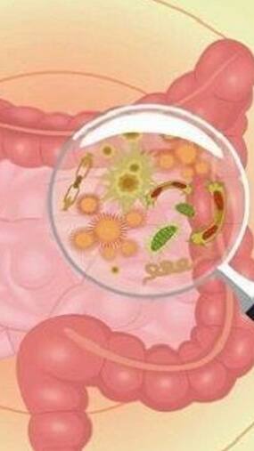 Poor Gut Health Can Cause Diseases: What Is The Link Between Them?