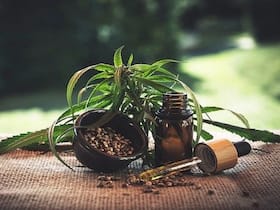 Hemp: Busting The Myths Surrounding Medical Cannabis
