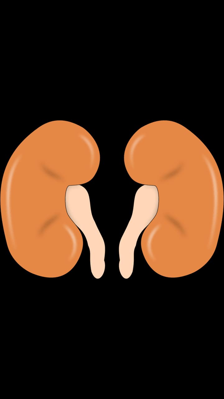 Diabetic Nephropathy: 9 Symptoms You Must Be Aware Of