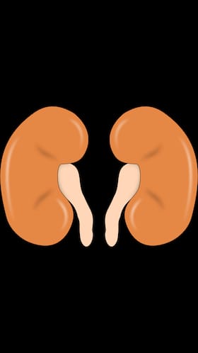 Diabetic Nephropathy: 9 Symptoms You Must Be Aware Of