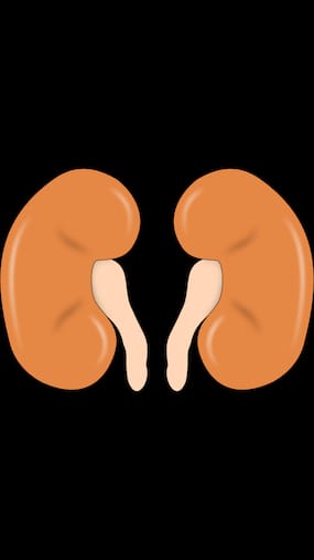Diabetic Nephropathy: 9 Symptoms You Must Be Aware Of