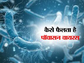 Powassan Virus: कोरोना के बाद इस वायरस ने पसारे पैर, पॉवासन वायरस से अमेरिका में 1 की मौत, एक्सपर्ट से जाने इसके लक्षण और बचाव