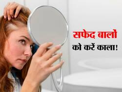 रातों रात सफेद बालों को काला करते हैं ये 5 घरेलू उपाय, बालों को मिलता है भरपूर पोषण