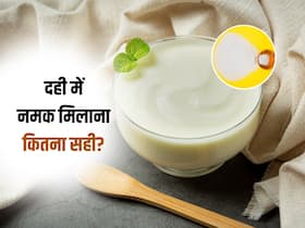 क्या दही में नमक मिलाने से मर जाते हैं उसके गुड बैक्टीरिया? जानें क्या है इसके पीछे की सच्चाई