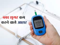 ये 5 फूड खाते ही कंट्रोल होता है शुगर लेवल, डाइट में जरूर करें शामिल