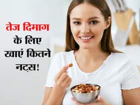 तेज दिमाग और दमदार याददाश्त के लिए हफ्ते में इतनी बार खाएं नट्स, स्टडी में बताया कितनी बार खाने से होगा फायदा