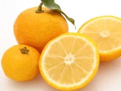 Yuzu For Skincare: Why Does This Ingredient Deserve Your Attention?