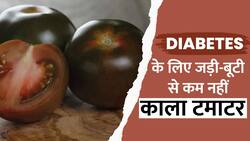 Know Benefits Of Black Tomato: जानें काले रंग के टमाटर खाने के क्या हैं फायदे?
