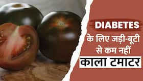 Know Benefits Of Black Tomato: जानें काले रंग के टमाटर खाने के क्या हैं फायदे?