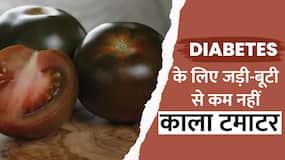 Know Benefits Of Black Tomato: जानें काले रंग के टमाटर खाने के क्या हैं फायदे?