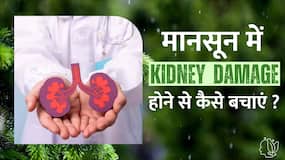 Monsoon में Kidney Damage होने से बचाने का जान लें ये तरीका Monsoon में Kidney Damage होने से बचाने का जान लें ये तरीका
