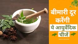 Monsoon में इन Ayurvedic चीजों को बनाएं Diet का हिस्सा,Watch Video