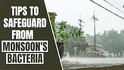 Monsoon Health: Essential Tips for Preventing Waterborne and Foodborne Diseases