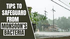 Monsoon Health: Essential Tips for Preventing Waterborne and Foodborne Diseases Monsoon Health: Essential Tips for Preventing Waterborne and Foodborne Diseases