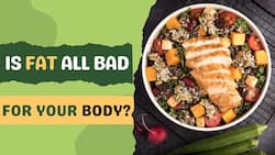 The Role Of Fat : How much Fat is too much Fat for Human Body