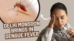 Monsoon Dengue Rising : Delhi's Monsoon Escalating into Dengue Cases and Characteristics Explained