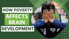 Poverty Impact On Mind: How Childhood Experience Affects the Development of Mind