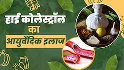 Cholesterol Control Tips: जानें क्या है हाई कोलेस्ट्रॉल का आयुर्वेदिक इलाज?