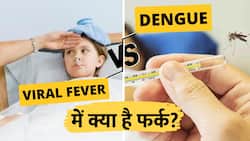 Dengue Fever: ऐसे पहचाने आपको Dengue है या Viral Fever, Watch Video