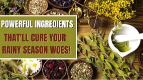 Monsoon Related Illness :5 Herbs to incorporate in diet to battle Monsoon Related illnesses Monsoon Related Illness :5 Herbs to incorporate in diet to battle Monsoon Related illnesses