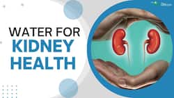 Water For Kidney Health : Power of water for Enhancing kidney's well being