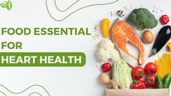 Heart Health: These 7 Foods can Nourish Your Cardiovascular System