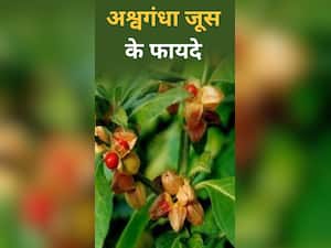 अश्वगंधा का जूस पीने के फायदे