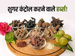 सिर्फ ये 5 चीजें आपके ब्लड शुगर को कर सकती हैं कंट्रोल, मेडिकल साइंस भी मानता है आयुर्वेद की ये सलाह