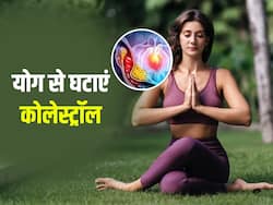 नसों में चिपका गंदा कोलेस्ट्रॉल कम होने का नहीं ले रहा है नाम? रोजाना करें इन 5 योगासन का अभ्यास