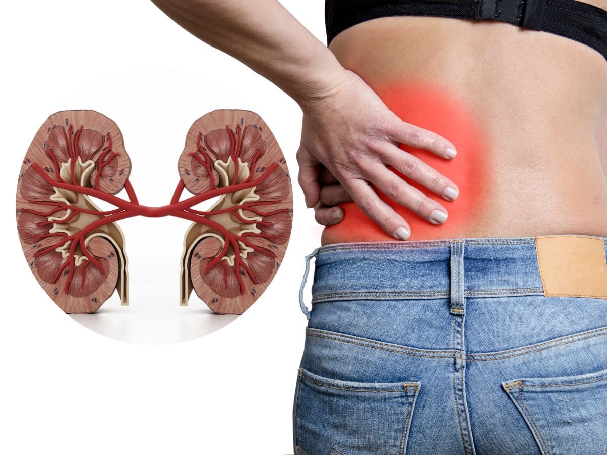 Kidney Damage Symptoms: Foamy Urine And 10 Other Signs You Should Never ...