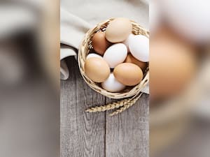 7 Interesting Health Benefits of Eating Eggs Daily
