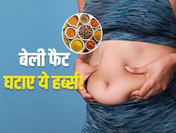 पेट की चर्बी कम करने के लिए इन हर्ब्स का करें सेवन, हवा की तरह उड़ जाएगा शरीर का सारा फैट