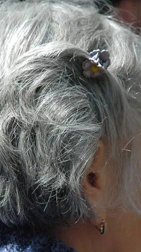 Reduce Premature Greying Of Hair With 10 Foods