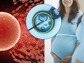 IVF Pregnancy vs. Natural Pregnancy: Here's How They Are Different IVF Pregnancy vs. Natural Pregnancy: Here's How They Are Different
