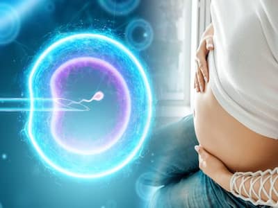 What Are My Chances Of Getting Pregnant With In Vitro Fertilization (IVF)?