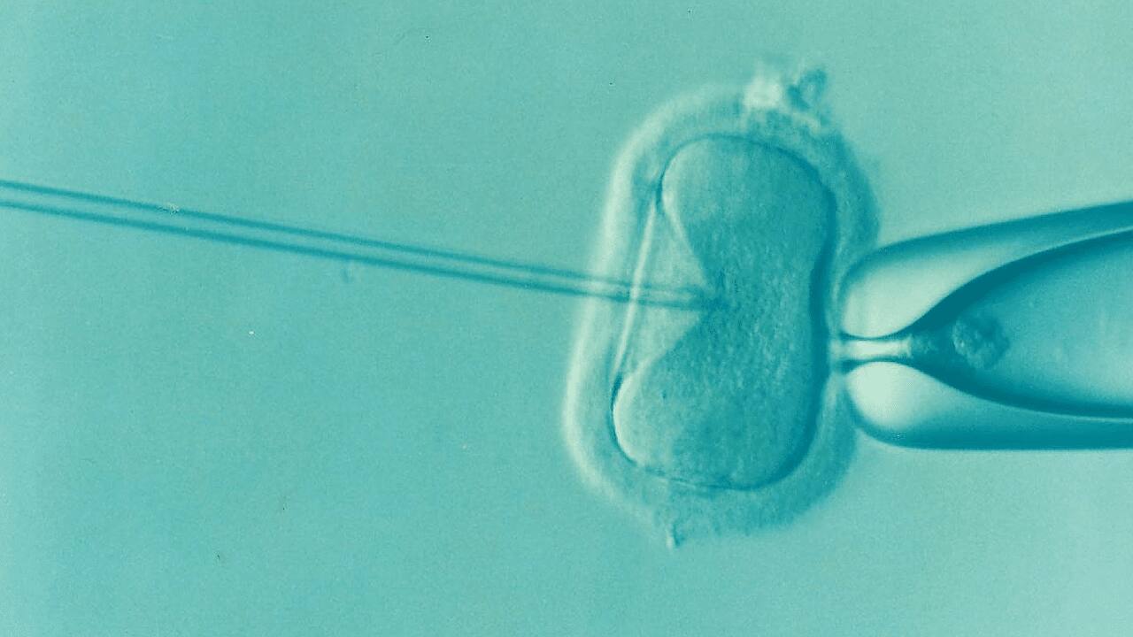 World IVF Day 2023: Are We Overusing IVF? Explains Dr Vaishali Chaudhary - Vimarsana News