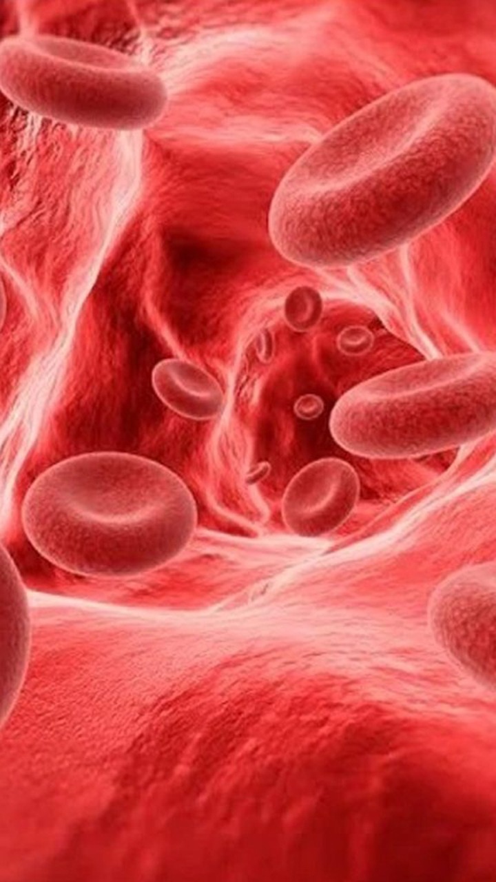 Iron Deficiency Anemia: 10 Tips For Women To Fight This Condition Easily