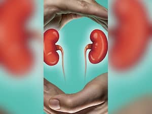 Kidney Disorders In Monsoon:  10 Foods To Eat For Renal Health