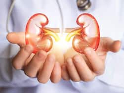 Kidney Health: 7 Causes Of Kidney Failure That Are Dangerous More Than Alcohol