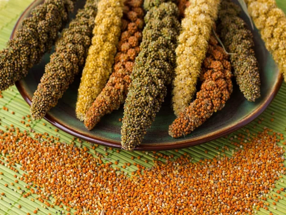 Ministry of Defence And FSSAI Sign MoU To Promote Use Of Millets Among