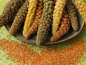 Ministry of Defence And FSSAI Sign MoU To Promote Use Of Millets Among Armed Forces Ministry of Defence And FSSAI Sign MoU To Promote Use Of Millets Among Armed Forces