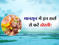 बरसात के सीजन में इन जड़ी-बूटियों का करें सेवन, पूरे सीजन डॉक्टर की नहीं पड़ेगी जरूरत