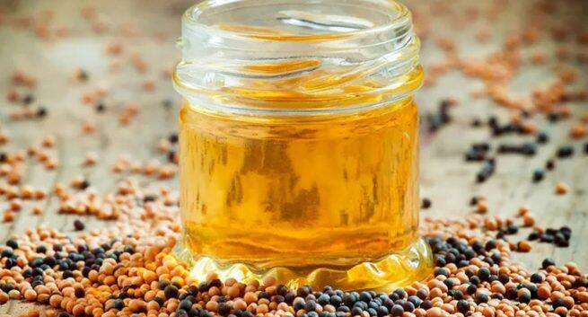 सरसों के तेल के साथ अरंडी या नारियल: बालों की ग्रोथ के लिए कौन-सा कॉम्बिनेशन बेहतर है?