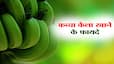 techlusive news