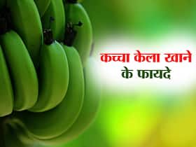 पके केले से ज्यादा फायदेमंद होते हैं कच्चे केले! जानिए Raw Banana खाने के 5 जबरदस्त फायदे