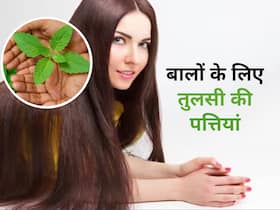 सफेद बालों से लेकर हेयर फॉल की परेशानी दूर करे तुलसी की पत्तियां, इस तरह करें इस्तेमाल