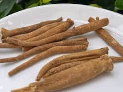 Monsoons 2023: 5 Herbs To Incorporate In Diet To Battle Monsoon-Related Illness