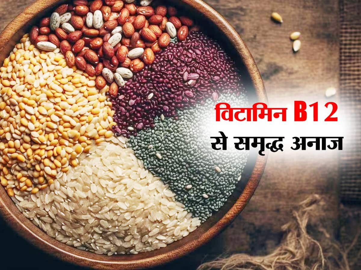 Vitamin B12 Veg Source In Hindi हिंदी