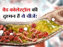 बैड कोलेस्ट्रॉल का दुश्मन हैं ये 2 चीजें, रोजाना खाने से शरीर की सारी गंदगी हो जाएगी बाहर