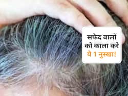 सफेद बालों को काला कर सकता है ये 1 नुस्खा, ऐसे इस्तेमाल करने से जल्द मिलेगा रिजल्ट